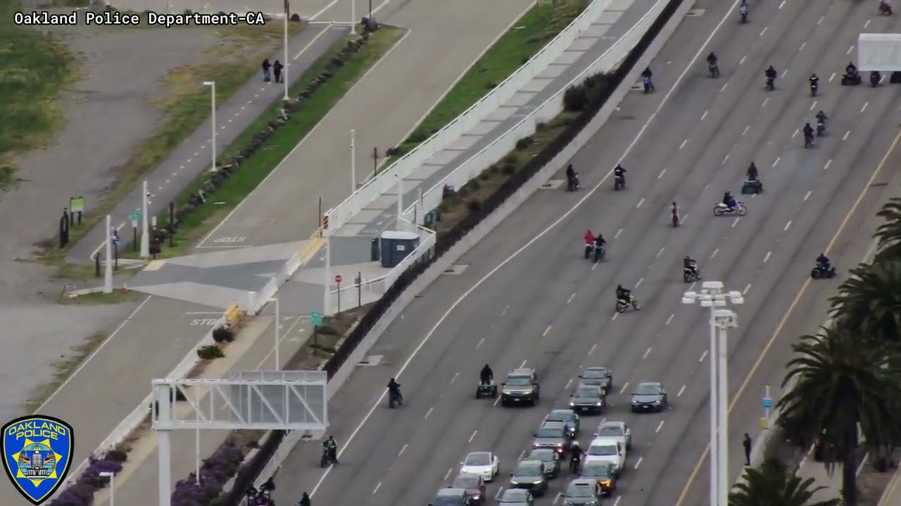 Bay Bridge Takeover and Arrest Bay Bridge Takeover and Arrest