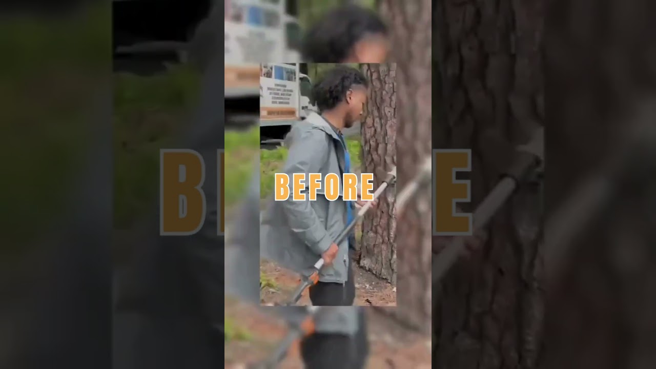 Property Transformation in Fayetteville GA #MrCantStop #PropertyCleanup #LandClearing Property Transformation in Fayetteville GA #MrCantStop #PropertyCleanup #LandClearing