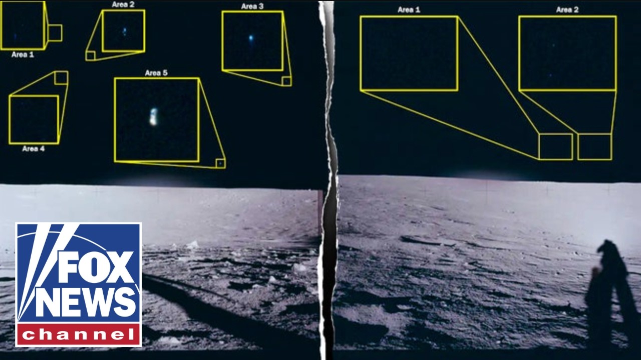 UFO FILES: Scientist believes FOUR types of alien life have been found