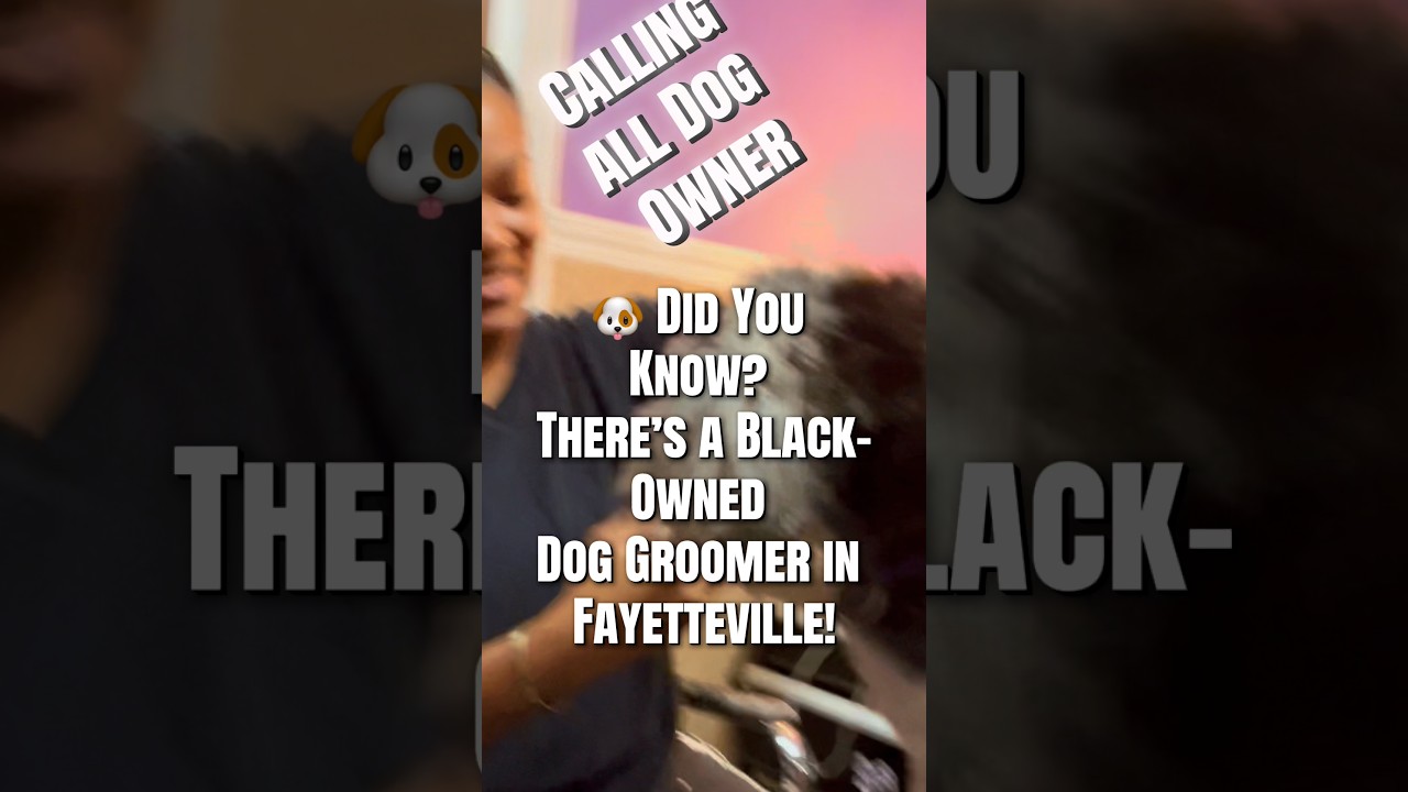 Did You Know Fayetteville Has One of Georgia’s Best Dog Groomers? Did You Know Fayetteville Has One of Georgia’s Best Dog Groomers?