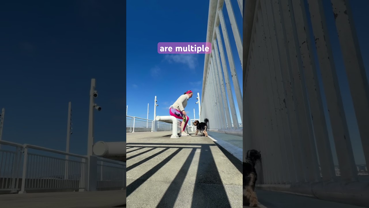 Have you walked the Bay Bridge Trail yet?