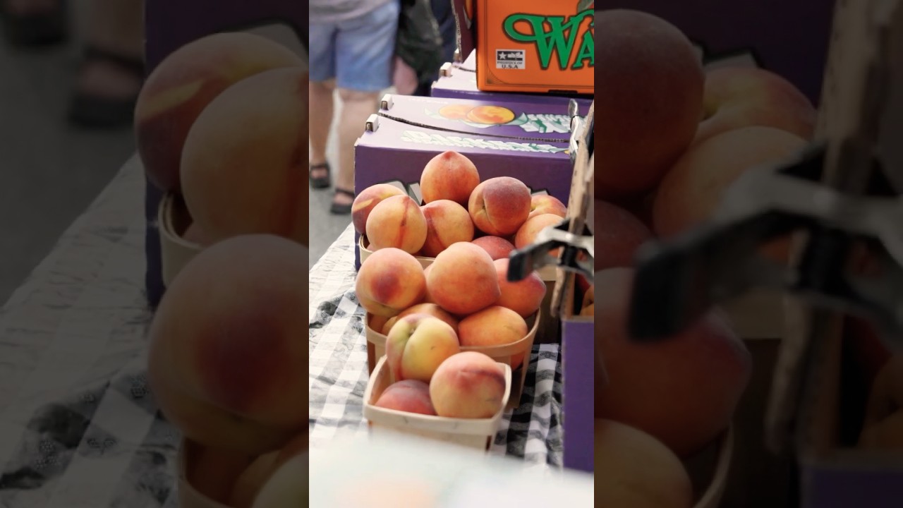 I Tried Everything This Farmers Market Vendor Had!